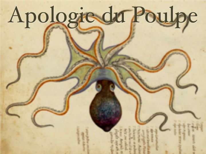 apologiedupoulpe001002.jpg