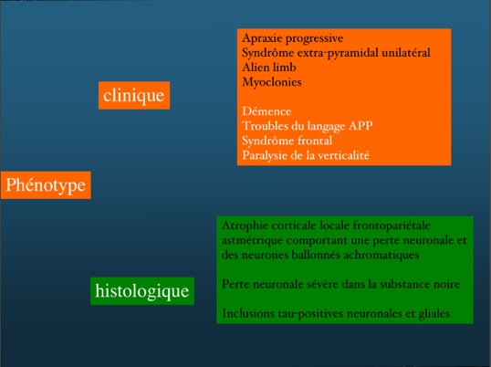 cbdphenotypecliniquehisto.jpg