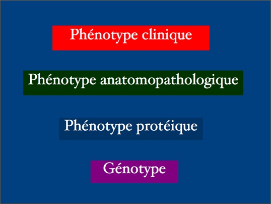 phenotypegenotype.jpg