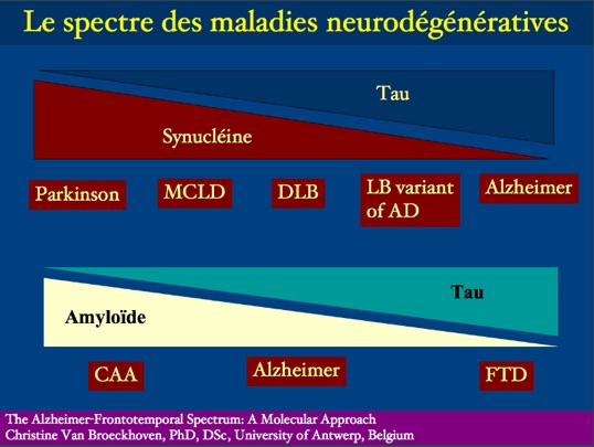 spectremaladiesneurodgn.jpg