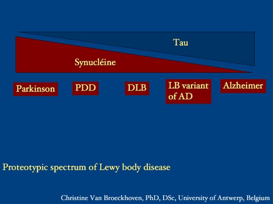 spectrumproteotypique.jpg