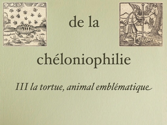 cheloniophilie.037-001.jpg