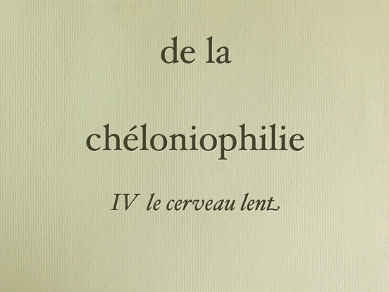 cheloniophilie.050-001.jpg