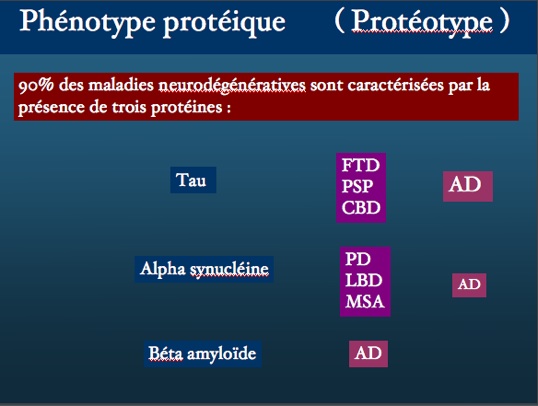 phenotypeproteique90.jpg