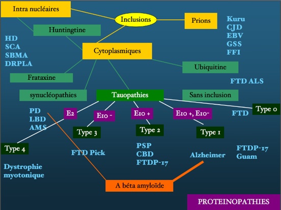 proteinopathiestableaugeneral.jpg