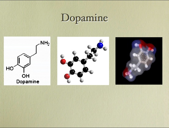 dopamine.jpg