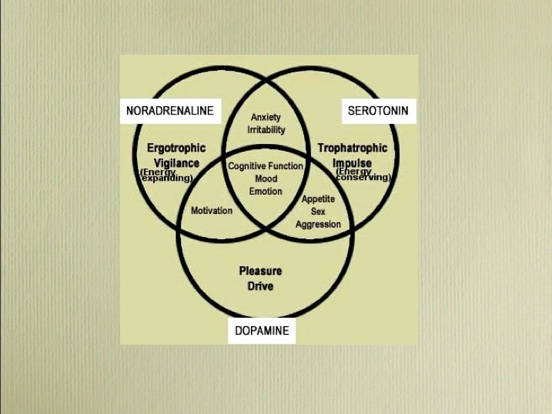 dopamine3boules2.jpg