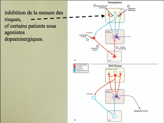 inhibitionmesures.jpg