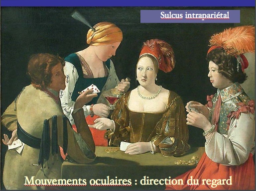 Image_37.jpg