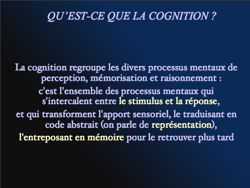 cognition.jpg