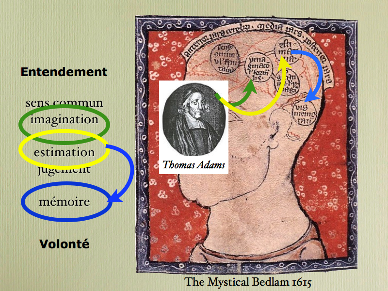 prehistoiredemence027.jpg