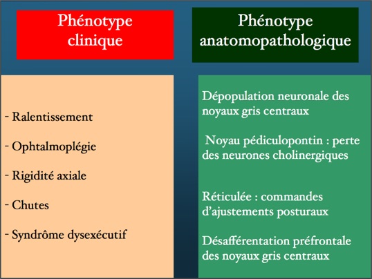 cliniqueanatomie.jpg