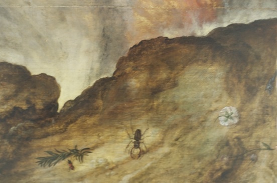 lambertvannoortmarcuscurtiusscarabee.jpg lambertvannoortmarcuscurtiusscarabee.jpg