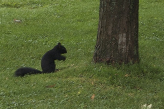 drolederencontre2ottawa.jpg