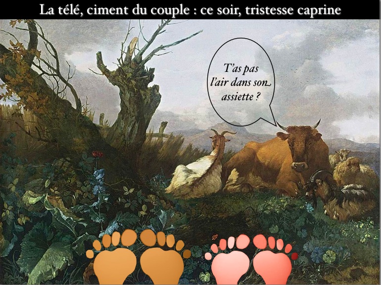 tristessecaprine.jpg tristessecaprine.jpg