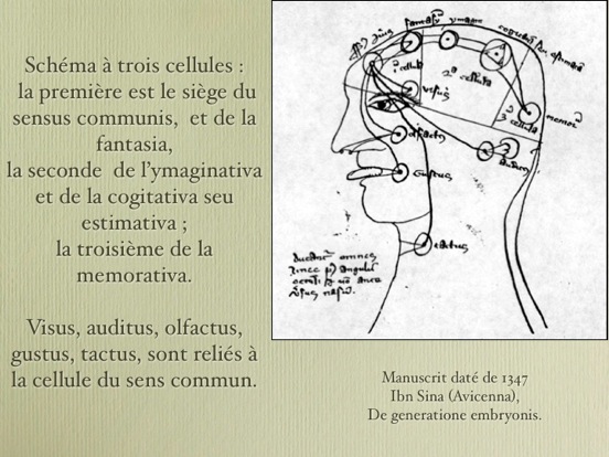 synesthesiemai2006.048.jpg