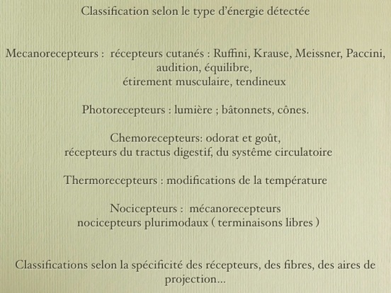 synesthesiemai2006.054.jpg